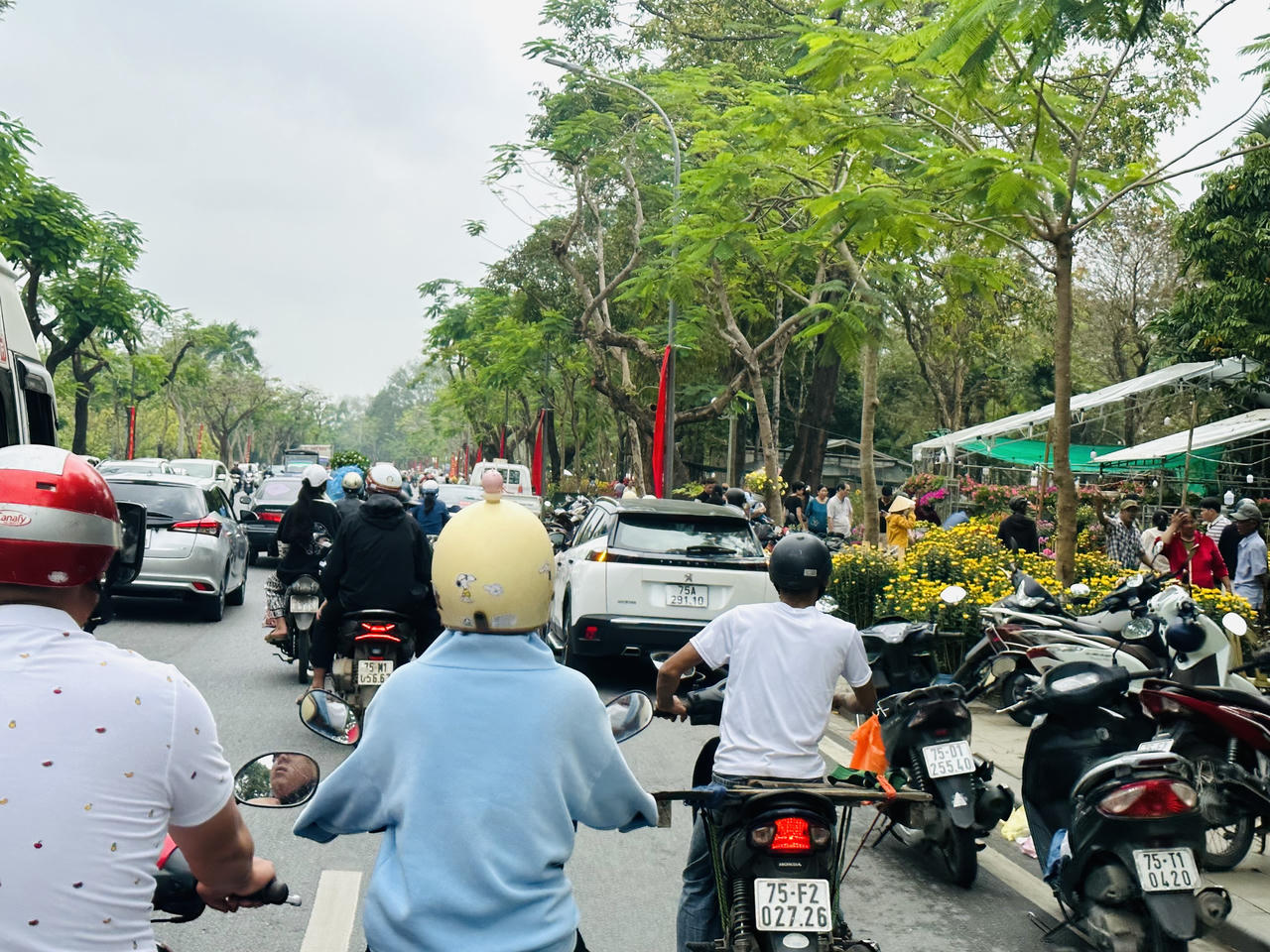 Huế rộn ràng vào xuân