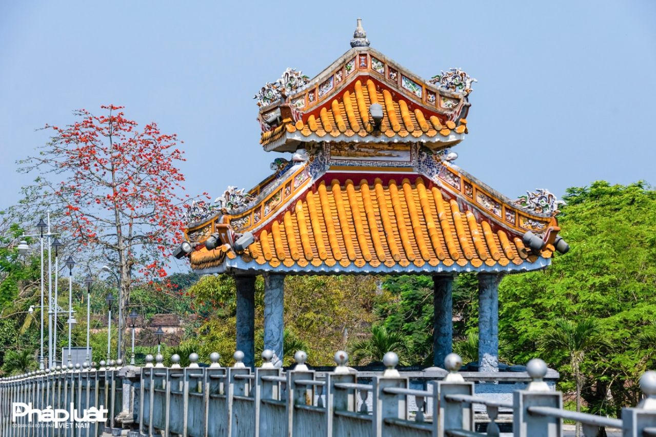 Hoa gạo đỏ rực giữa lòng Cố đô