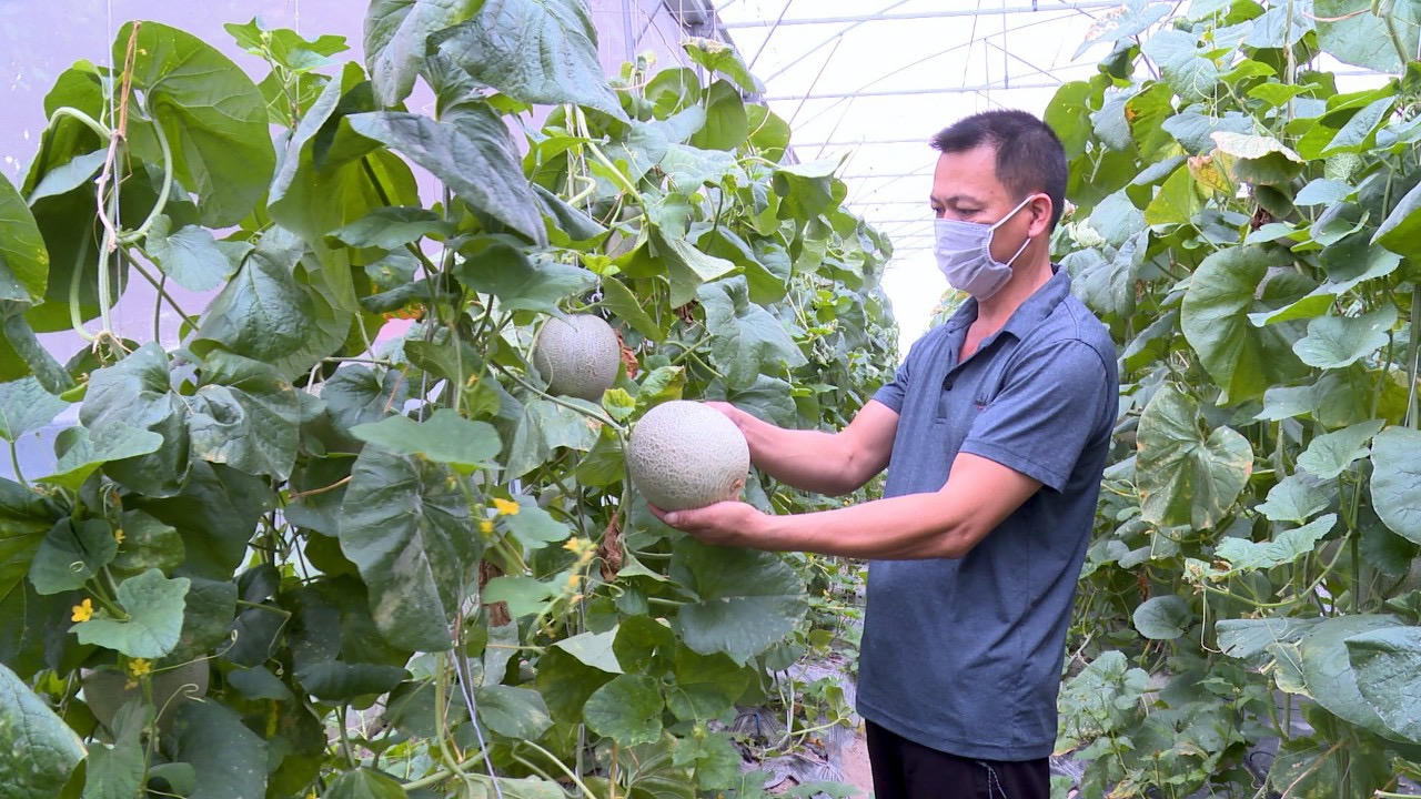 Thị xã Ba Đồn quyết tâm hoàn thành nhiệm vụ 6 tháng cuối năm 2024