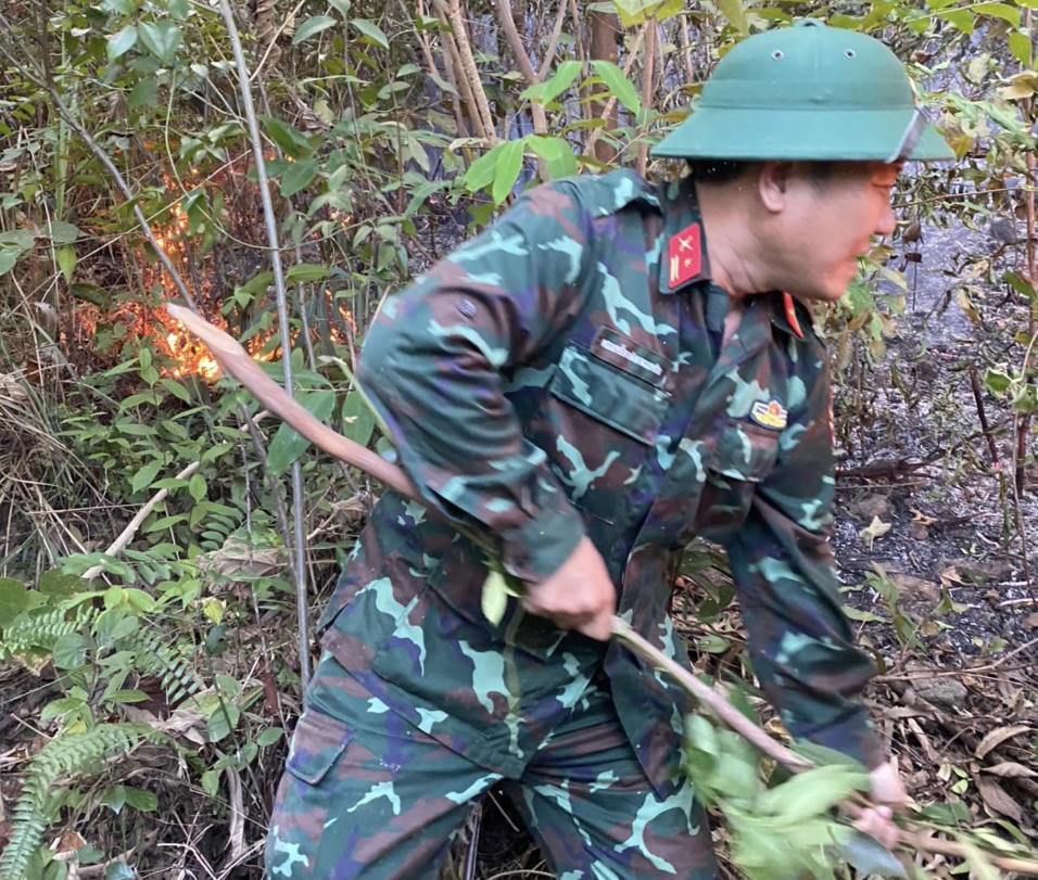 Đã khống chế được đám cháy rừng trồng tại Quảng Bình