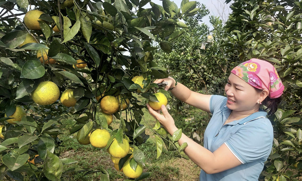 Khởi sắc từ huyện miền núi phía Tây của Quảng Bình