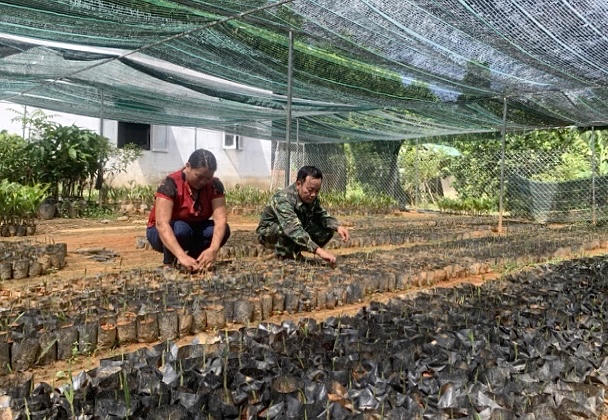 Những ngôi nhà ấm tình đồng đội