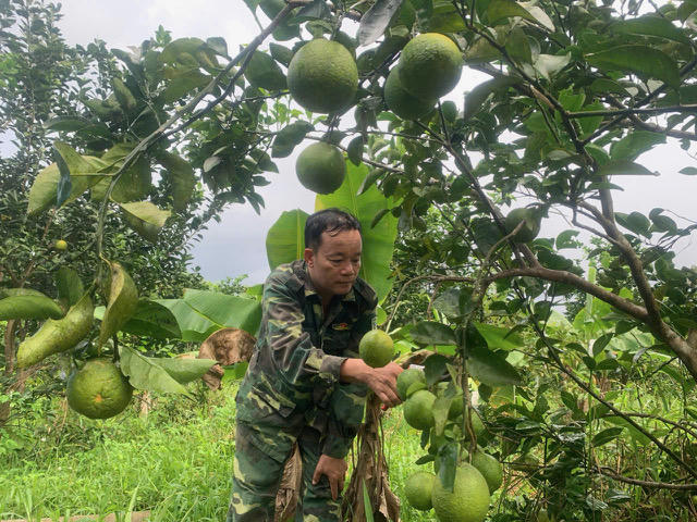 Những ngôi nhà ấm tình đồng đội