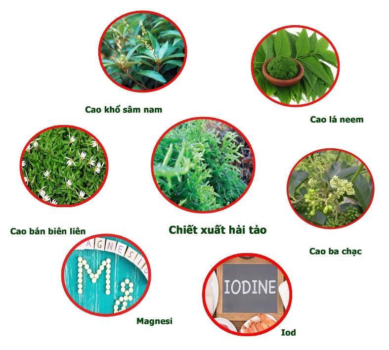 Ích Giáp Vương - Giải pháp vàng cho người bị bướu cổ