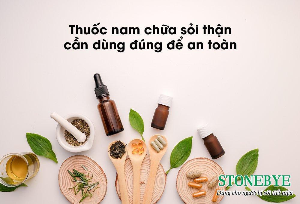 Thuốc nam chữa sỏi thận, sỏi tiết niệu – Dùng ra sao để tránh tiền mất tật mang?