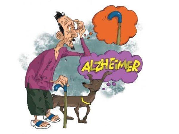 Alzheimer không nguy hiểm nếu bạn biết tới thảo dược này!