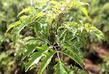 Những biểu hiện tăng động giúp cha mẹ nhận biết dễ dàng 