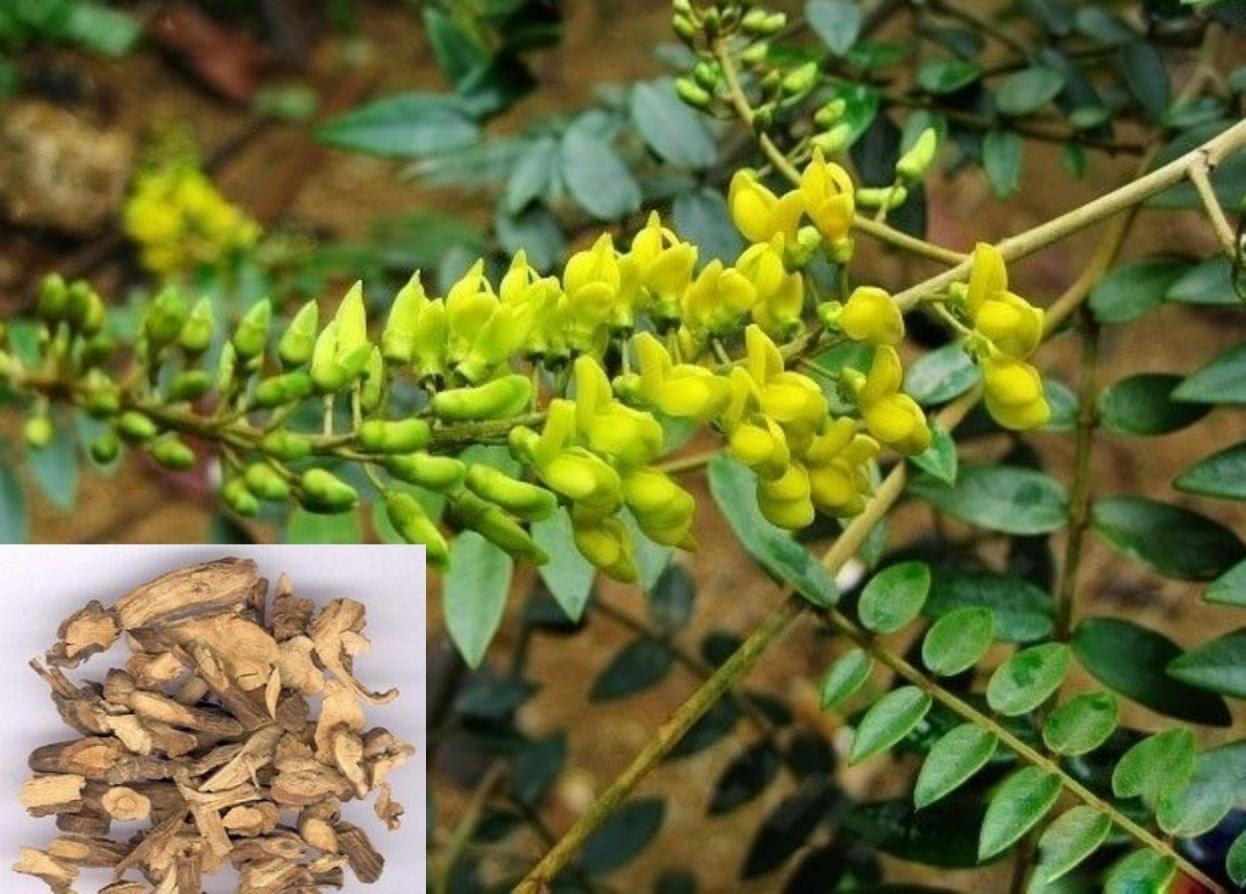 Ung thư gan - Thông tin về các phương pháp điều trị hiện đại