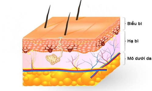 Tìm hiểu về bệnh viêm da tiếp xúc và giải pháp toàn diện từ Eczestop