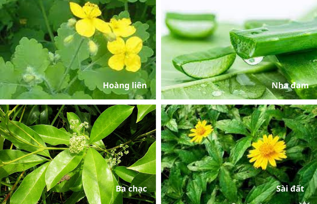 Các cách giảm mụn cám tại nhà và giải pháp từ Azacné