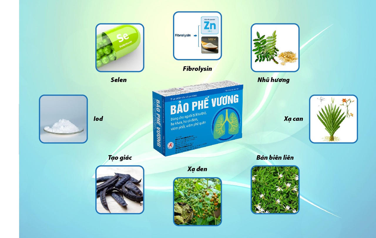Bảo Phế Vương - Giải pháp hữu hiệu cải thiện viêm phế quản phổi