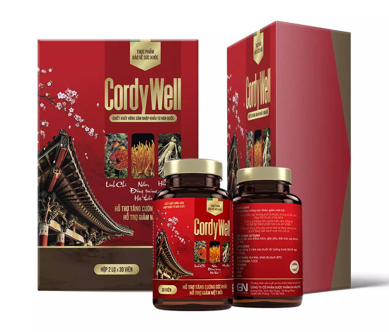 Đông trùng hạ thảo, Hồng sâm, Linh chi - Bộ ba vàng cho sức khỏe người suy nhược cơ thể