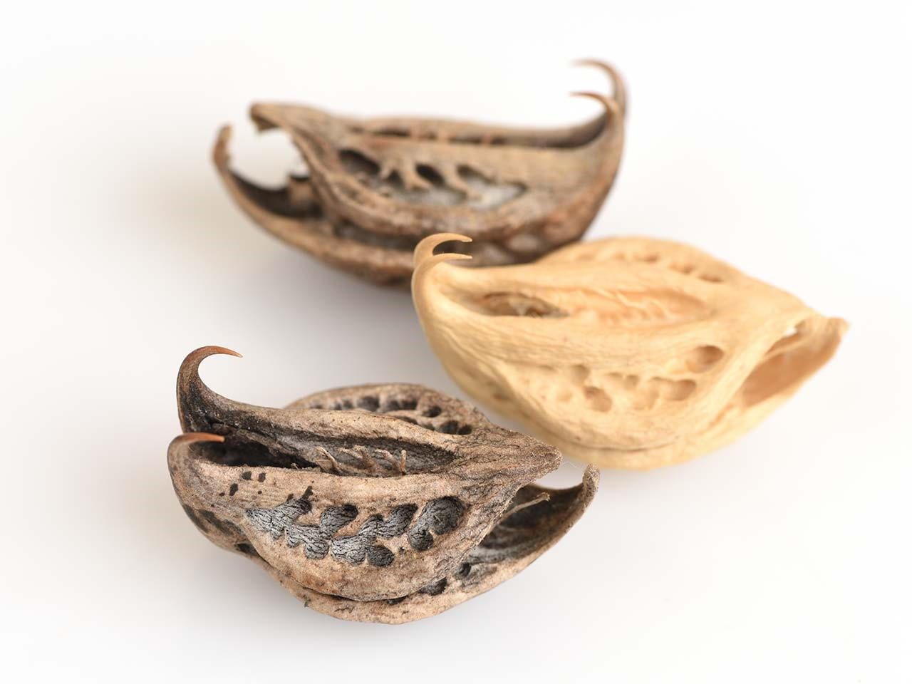 Bật mí bí quyết giảm viêm, giảm đau do viêm thoái hóa khớp hiệu quả