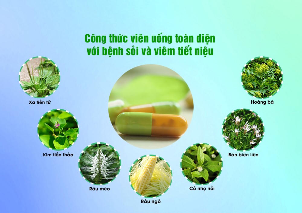 Nghiên cứu lâm sàng – Bằng chứng uy tín về chất lượng của thực phẩm bảo vệ sức khỏe