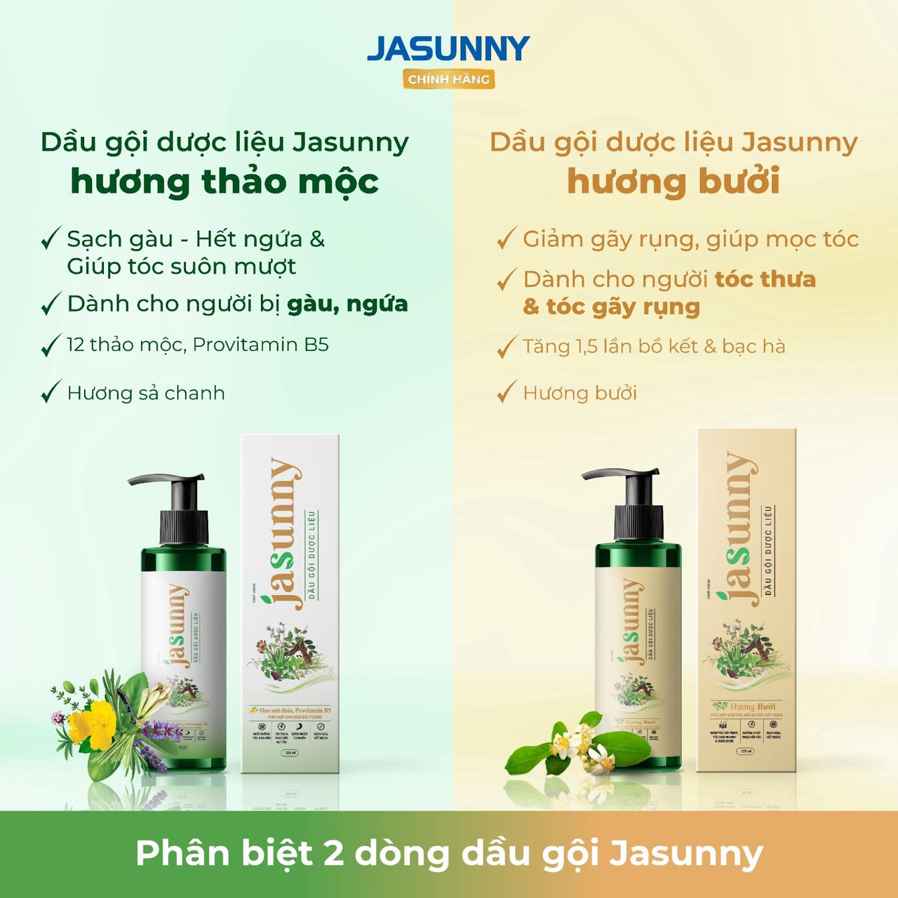 5 lý do khiến dầu gội JASUNNY là lựa chọn đầu tay cho người bị gàu, nấm, ngứa
