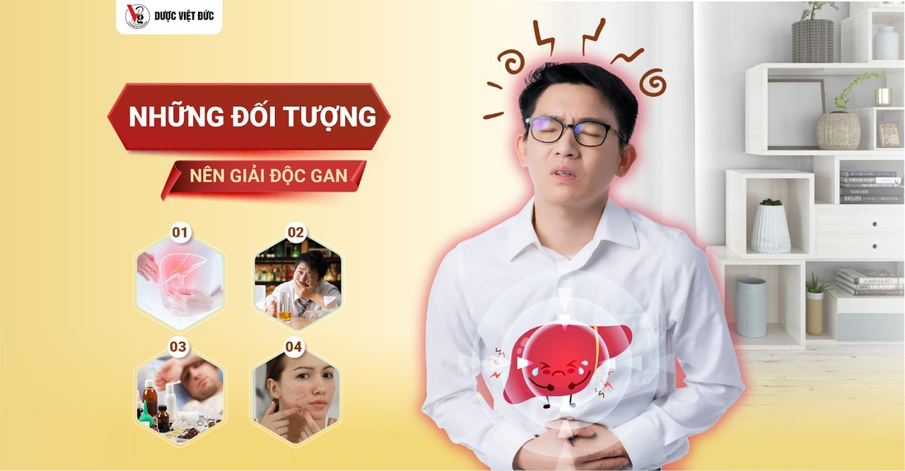 Giải độc gan Việt Đức Cà gai leo - Giải pháp vàng cho lá gan khỏe mạnh