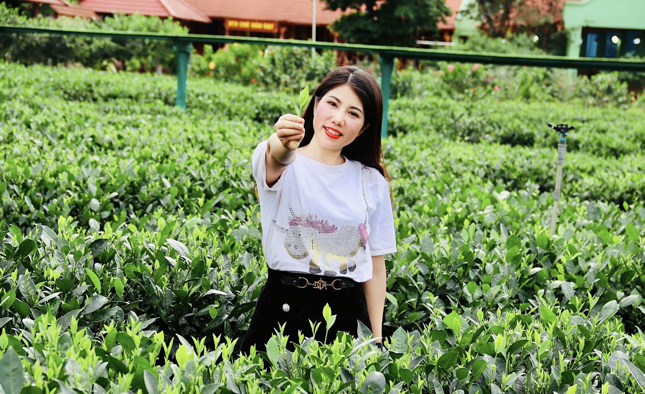 Về Thái Nguyên uống trà, ngắm cảnh, thưởng thức đồ ăn ngon