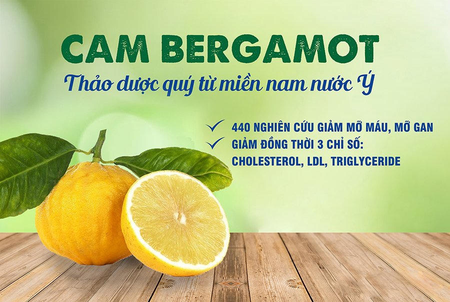 Mỡ máu Tâm Bình - Kết hợp bộ đôi tinh chất quý từ châu Âu