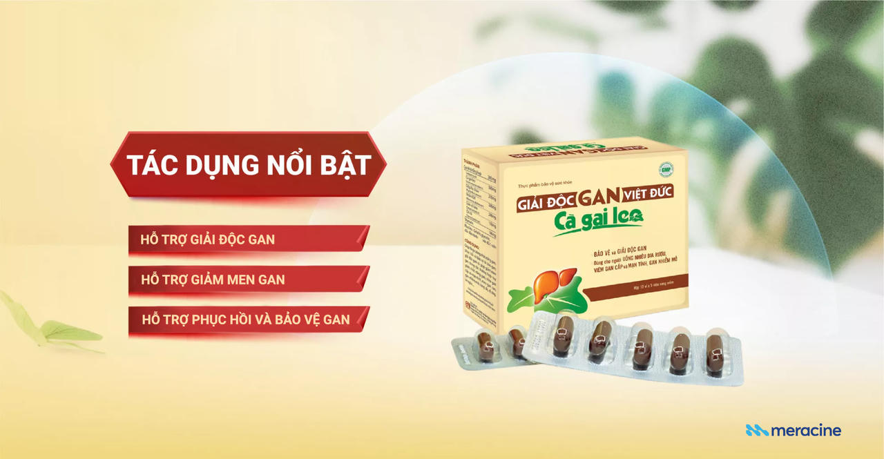 Giải độc gan Việt Đức Cà gai leo - Giải pháp vàng cho lá gan khỏe mạnh