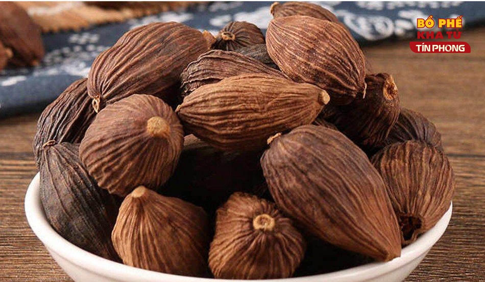 Bổ Phế Kha Tử Tín Phong - Thương hiệu cổ truyền hỗ trợ bổ phế, giảm ho cho cả gia đình