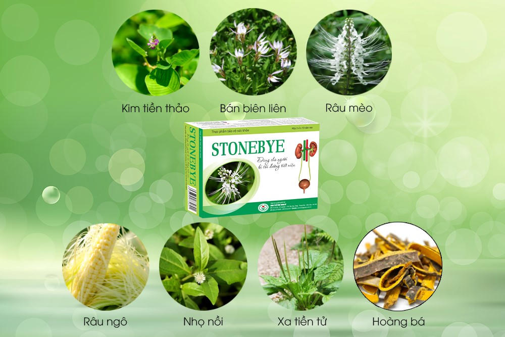 Chuyên gia giải đáp: Bệnh sỏi thận có nguy hiểm không?