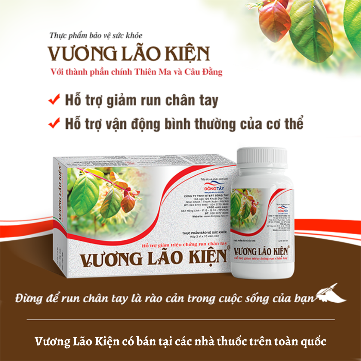 Thoái hóa chất trắng và giải pháp hỗ trợ điều trị với Vương Lão Kiện