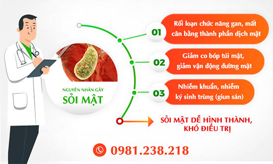 Bệnh sỏi mật - Nguyên nhân, biến chứng và cách bài sỏi với Kim Đởm Khang