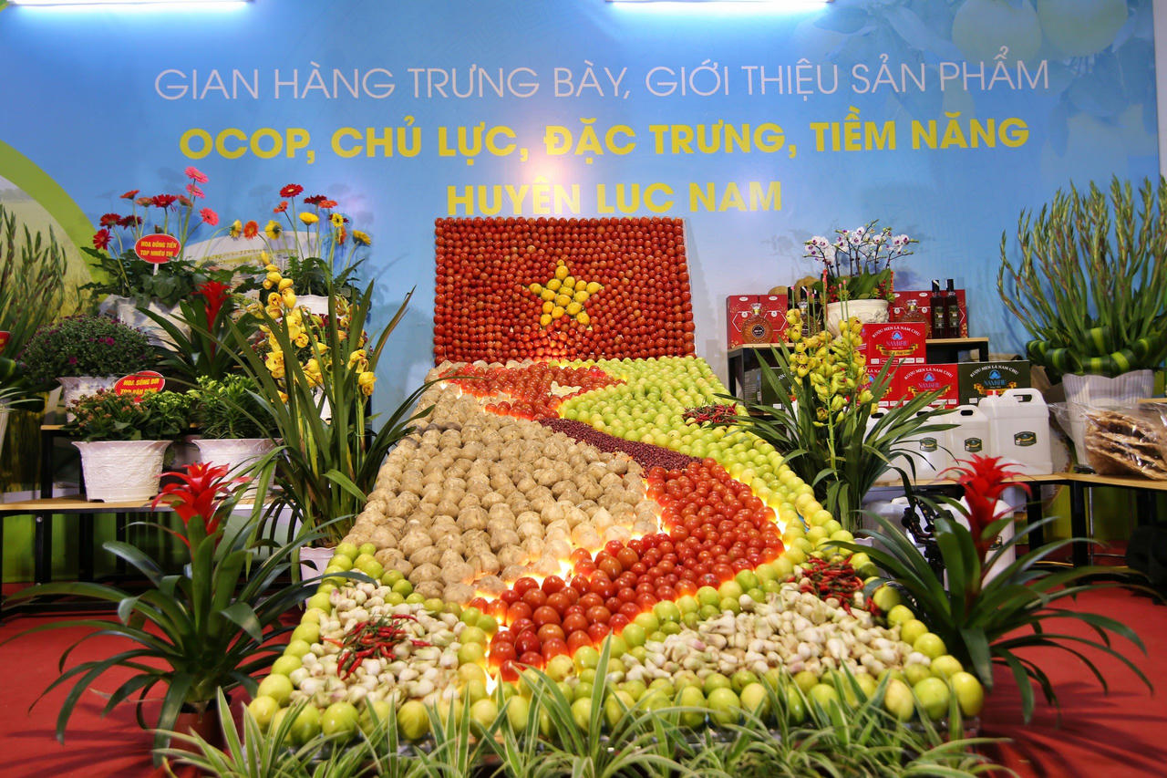 Huyện miền núi đầu tiên của Bắc Giang đạt chuẩn nông thôn mới năm 2023 