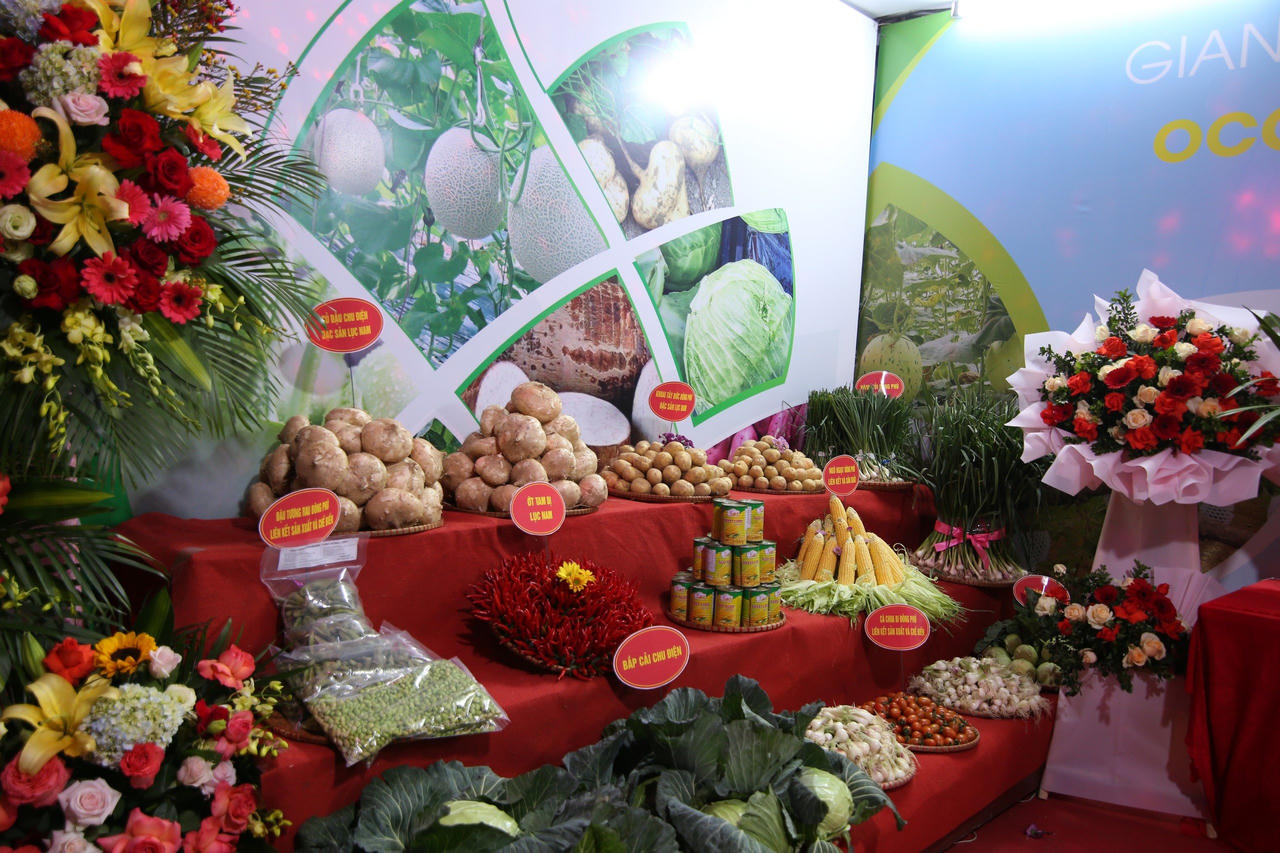 Huyện miền núi đầu tiên của Bắc Giang đạt chuẩn nông thôn mới năm 2023 