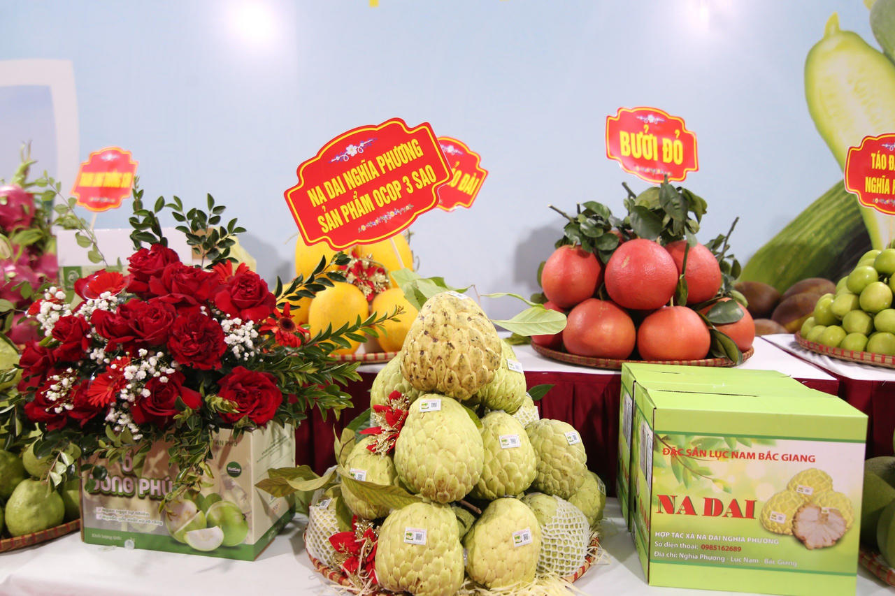 Huyện miền núi đầu tiên của Bắc Giang đạt chuẩn nông thôn mới năm 2023 