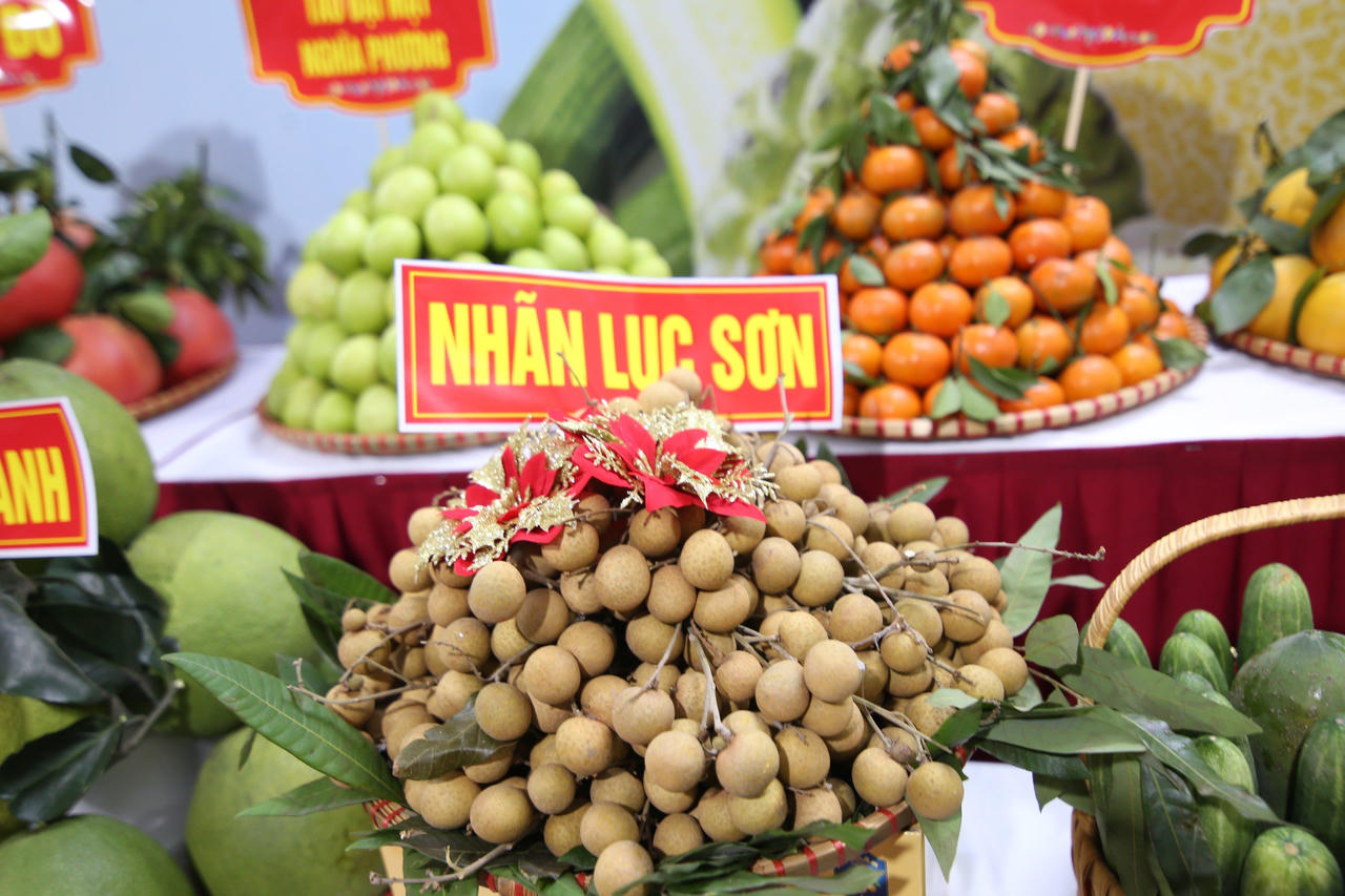 Huyện miền núi đầu tiên của Bắc Giang đạt chuẩn nông thôn mới năm 2023 