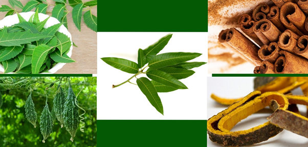 3 cách giảm đường huyết cực đơn giản cho người mới bị tiểu đường và giải pháp đến từ Viên uống thảo dược Glutex