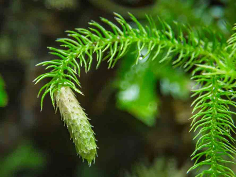 Phục hồi di chứng méo miệng, nói khó sau tai biến: Vì sao nên lựa chọn Kinh Vương Não Bộ?