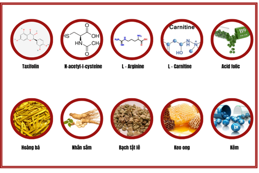 Giải pháp hỗ trợ bổ trứng, tăng khả năng thụ thai nhờ Linh Tự Đan Platinum