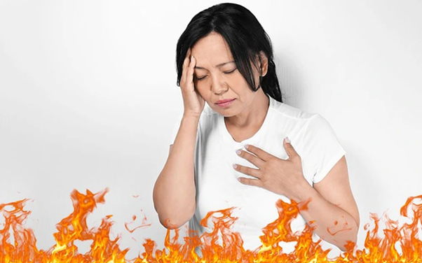 Nguyên nhân gây bốc hỏa và giải pháp cải thiện từ Nội Tiết Tố Nữ Á Âu