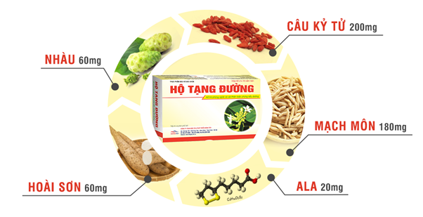 Các biến chứng nguy hiểm của bệnh tiểu đường và giải pháp từ Hộ Tạng Đường