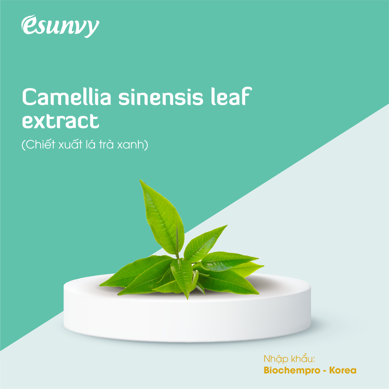 Kem chống nắng Esunvy: Tạm biệt nỗi lo bị nám, sạm da khi đi máy bay