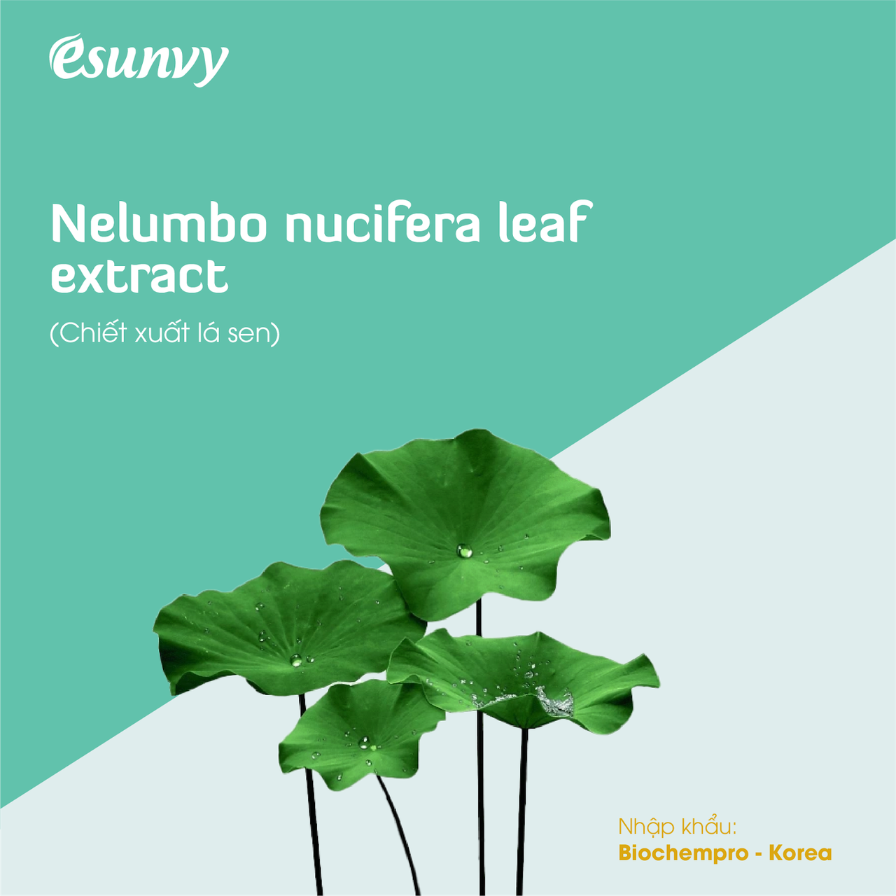 Kem chống nắng Esunvy: Tạm biệt nỗi lo bị nám, sạm da khi đi máy bay