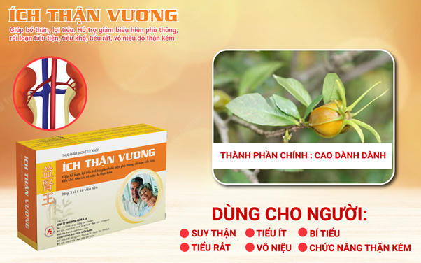 Ích Thận Vương giúp hỗ trợ giảm độ suy thận, giảm tần suất chạy thận