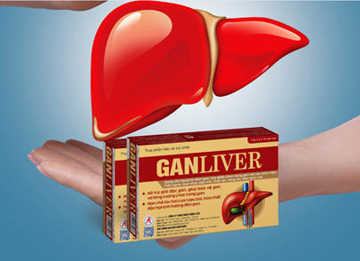 Ganliver giúp cải thiện viêm gan, hỗ trợ ngăn chặn xơ gan hiệu quả