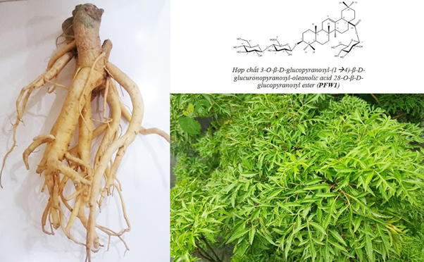 Lưu ý khi can thiệp tự kỷ tại nhà và 'giải pháp vàng' từ Vương Não Khang