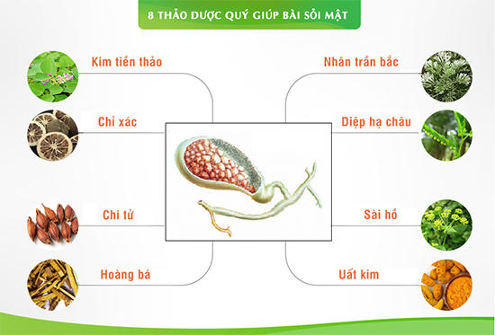 TPBVSK Kim Đởm Khang có giúp bài sỏi mật không?