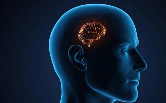 Teo não là bệnh gì, tuổi thọ của người bị teo não ra sao?