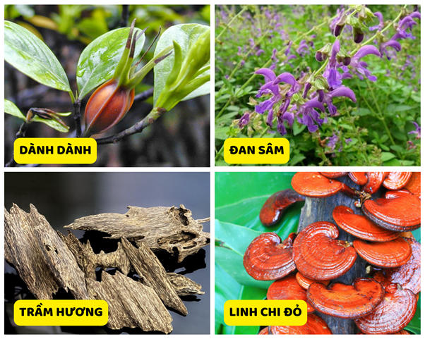 Phòng ngừa suy thận gây nhồi máu cơ tim từ Ích Thận Vương