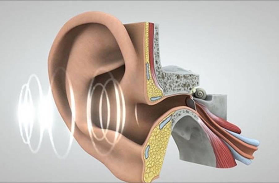 Lãng tai ở người già - Nguyên nhân và giải pháp hỗ trợ hiệu quả từ Kim Thính