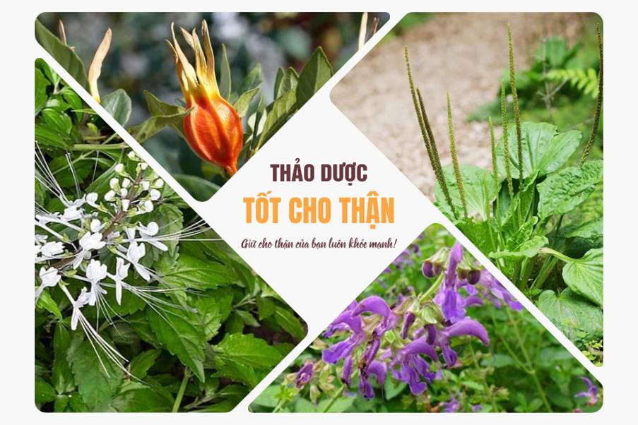 Giải pháp hỗ trợ cải thiện tiểu đêm nhiều lần, chân phù to vì suy thận độ 3