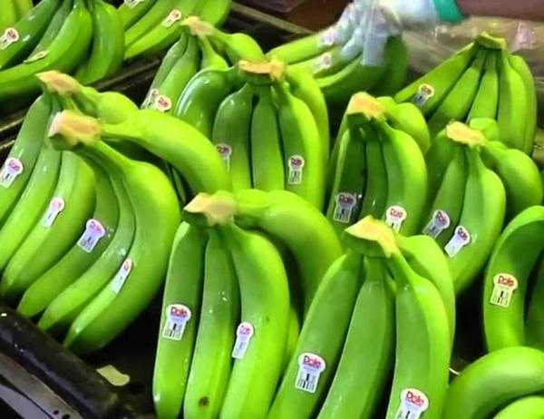 Chuối Việt Nam có mặt trong chuỗi siêu thị Aeon Mall Nhật Bản