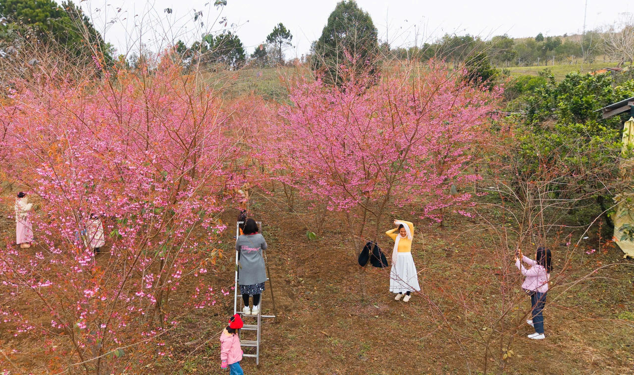 Kon Tum dồn sức biến Măng Đen thành điểm đến hấp dẫn Tây Nguyên