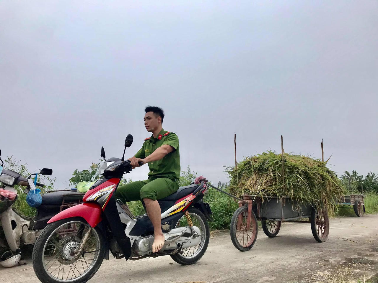 Hình ảnh đoàn viên Công an tỉnh Thái Bình xuống đồng gặt lúa giúp dân