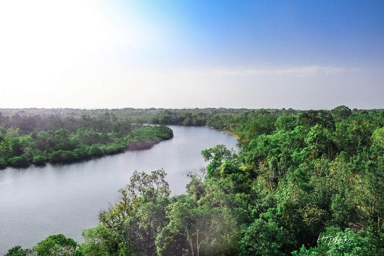 Phát triển thị trường tín chỉ carbon: Nền tảng bền vững cho tăng trưởng xanh